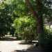 Panoramica del giardino